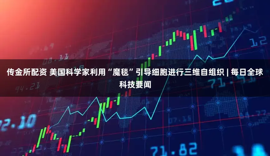 传金所配资 美国科学家利用“魔毯”引导细胞进行三维自组织 | 每日全球科技要闻