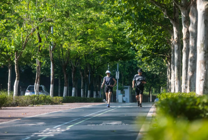 ▲市民在两江新区礼嘉山城步道跑步健身。张锦辉 摄
