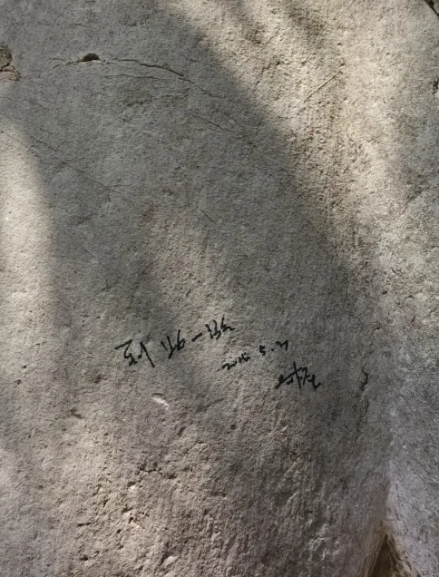 上证速配 南京明孝陵石兽遭涂鸦“到此一游”，景区：已恢复原貌，警方在排查