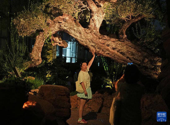 大牛时代配资 上海：徜徉温室花园“奇妙夜”