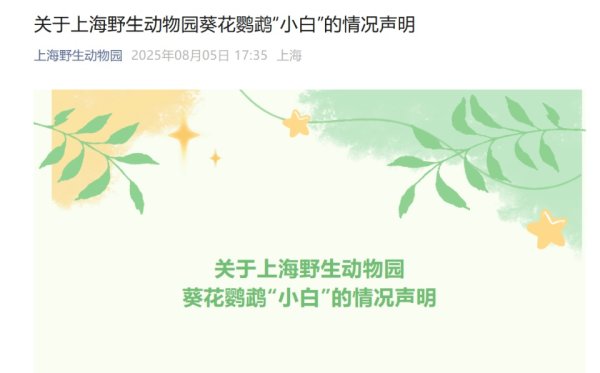 满盈网配资 上海野生动物园对葵花鹦鹉“小白”相关情况发布情况说明