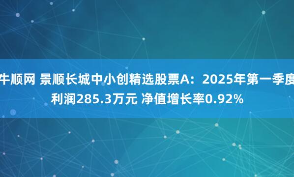 牛顺网 景顺长城中小创精选股票A：2025年第一季度利润285.3万元 净值增长率0.92%