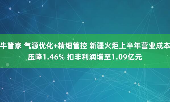 牛管家 气源优化+精细管控 新疆火炬上半年营业成本压降1.46% 扣非利润增至1.09亿元